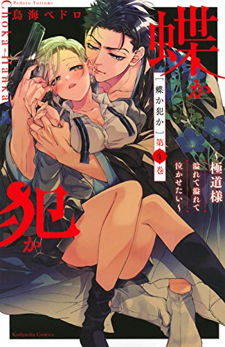 蝶か犯か ~極道様 溢れて溢れて泣かせたい~ 4巻』｜感想・レビュー